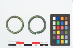 Foto von Bronzering (NHMW-PRAE-026271)